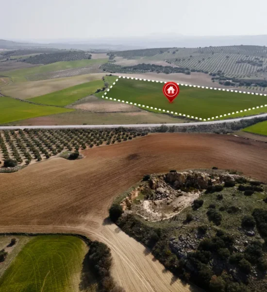 Agriculture and Land Development